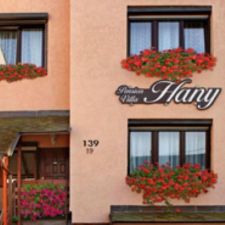 Pension Villa Hany Марианске-Лазне Экстерьер фото