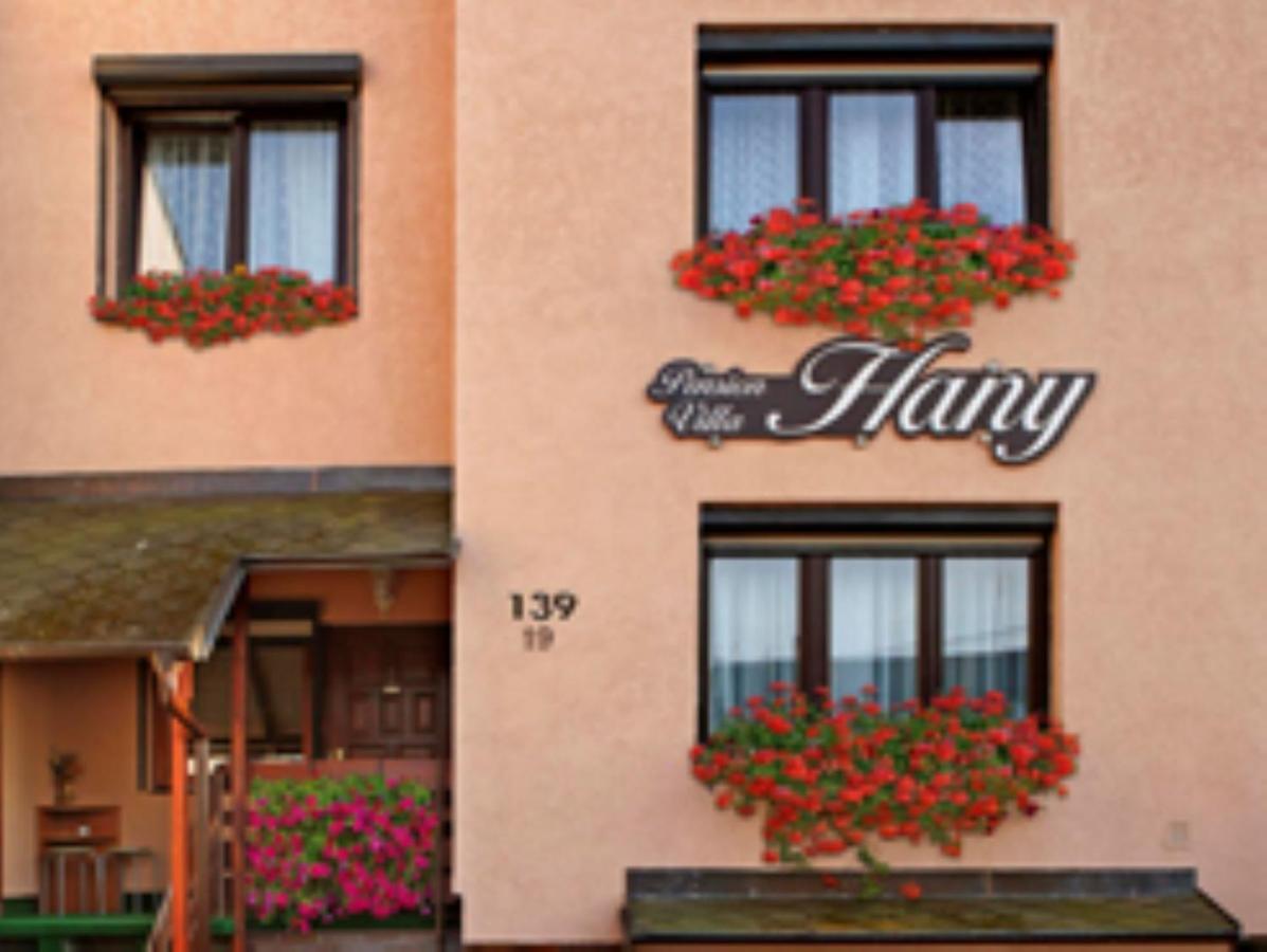 Pension Villa Hany Марианске-Лазне Экстерьер фото