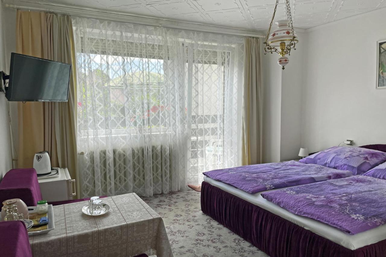 Pension Villa Hany Марианске-Лазне Экстерьер фото