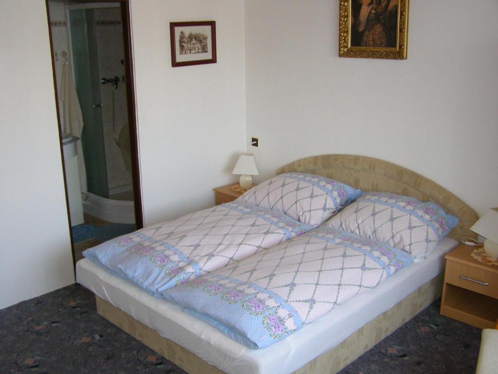 Pension Villa Hany Марианске-Лазне Номер фото